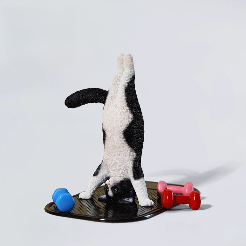 1/6 Scale Mini Simulated Fitne - Yoga In Fitness First recension och pris